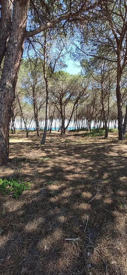Camping Girasole